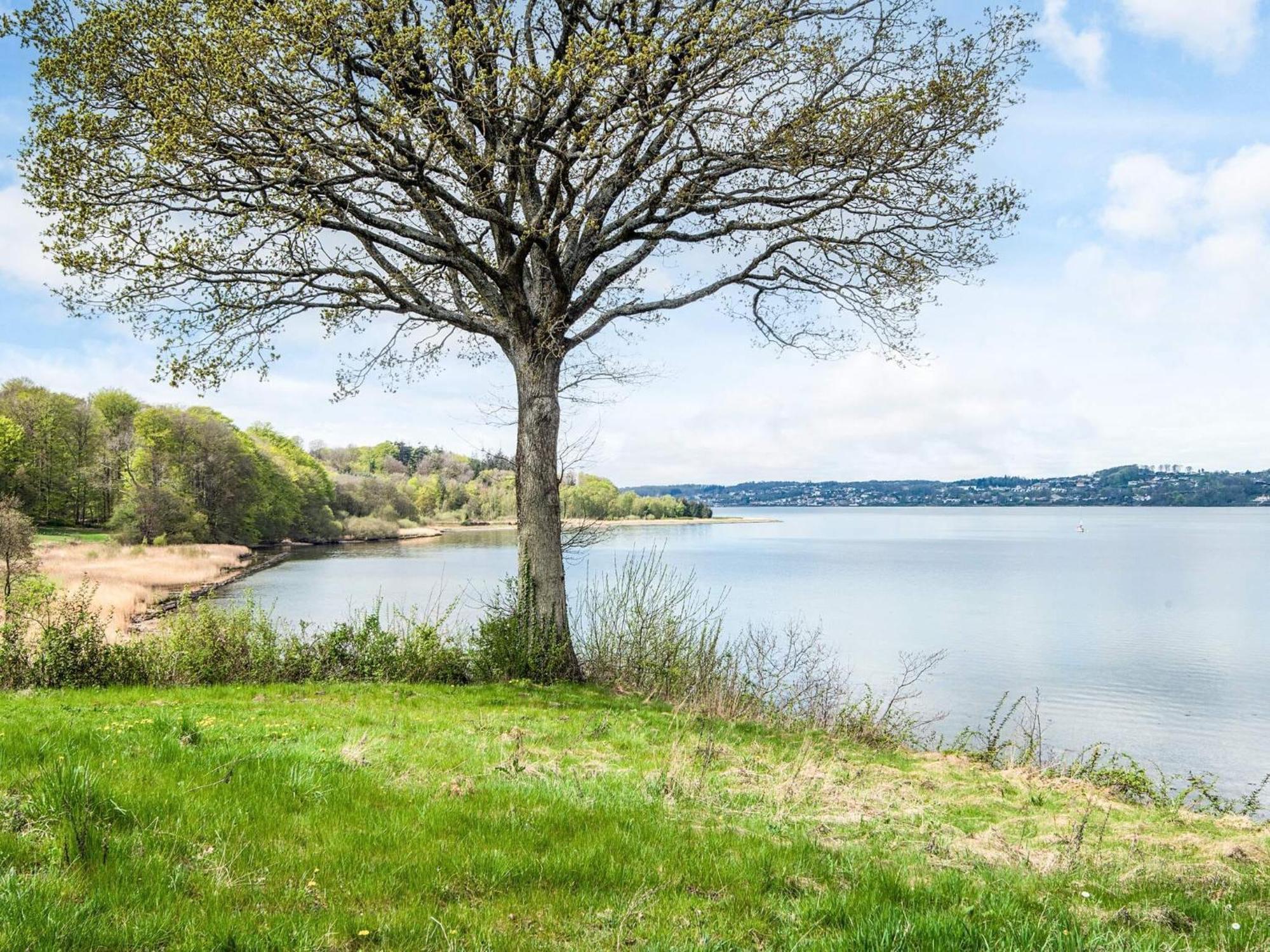 4 Person Holiday Home In B Rkop Børkop Eksteriør bilde